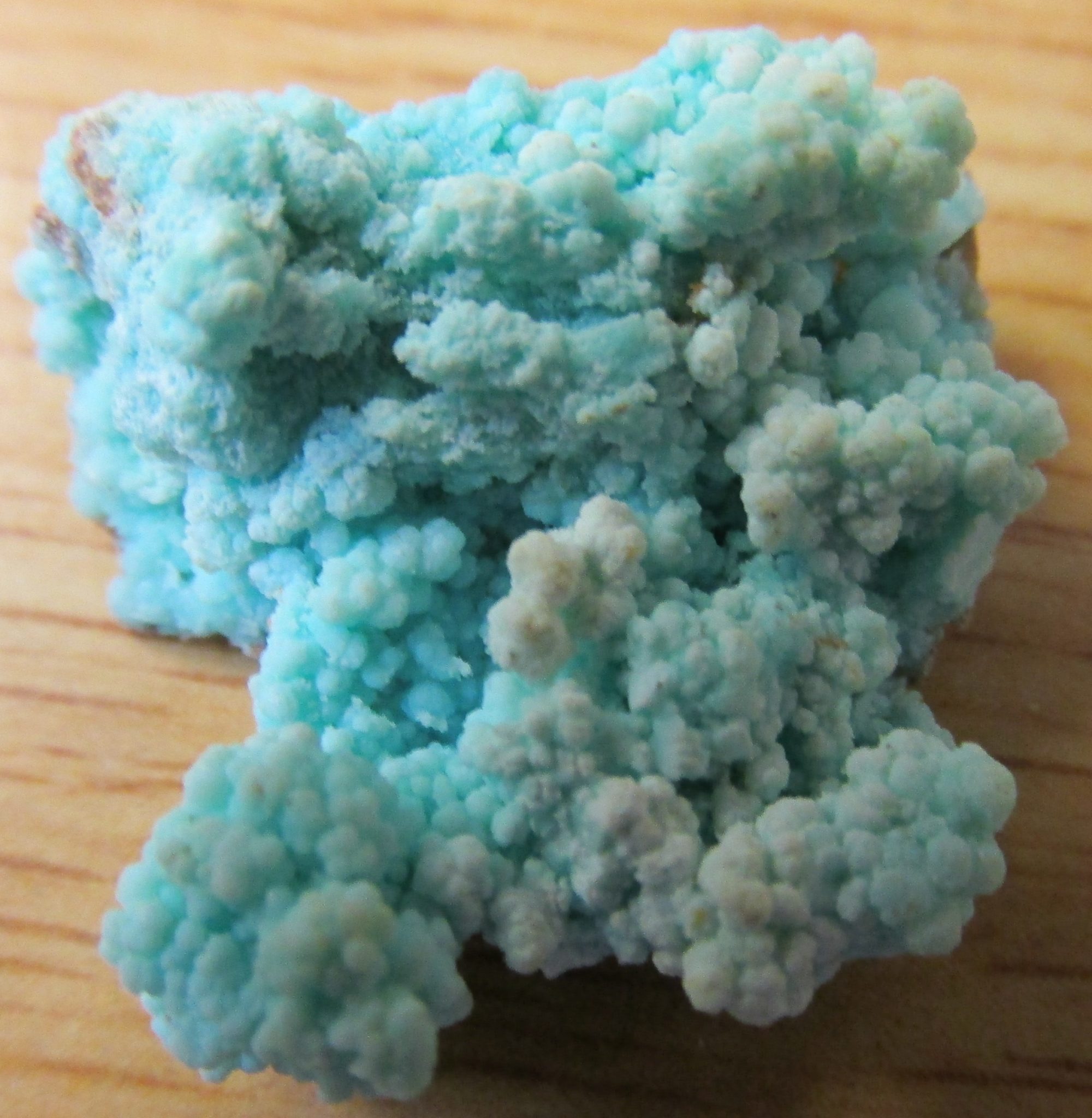 Sleeping Beauty Turquoise crystallized nuggets