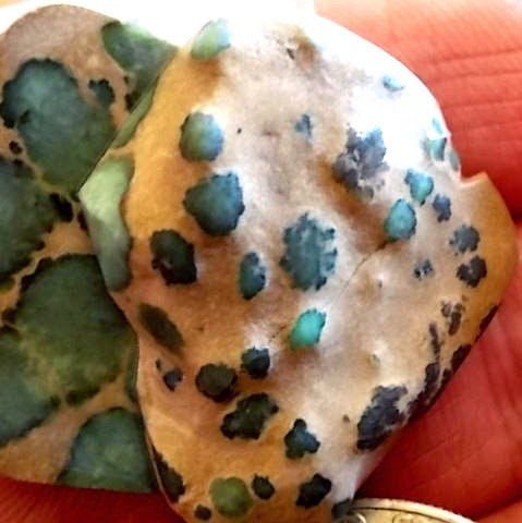 Damale Turquoise Nugget cut in half